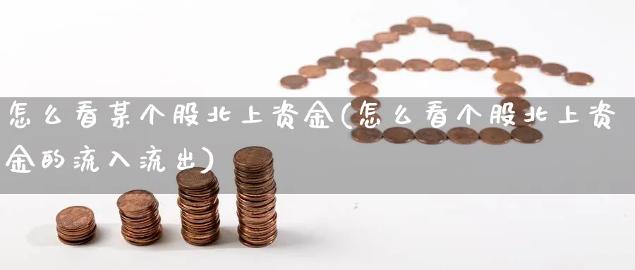 怎么看某个股北上资金(怎么看个股北上资金的流入流出)_https://www.xgbbparty.com_股市频道_第1张