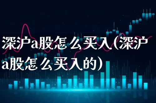 深沪a股怎么买入(深沪a股怎么买入的)_https://www.xgbbparty.com_股市频道_第1张