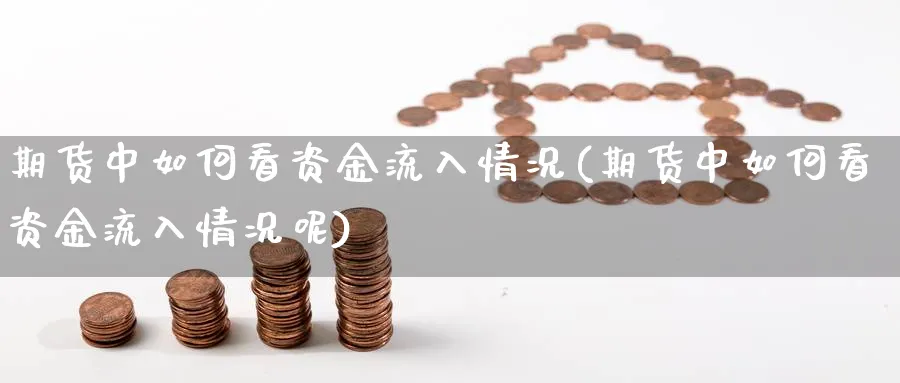 期货中如何看资金流入情况(期货中如何看资金流入情况呢)_https://www.xgbbparty.com_股市频道_第1张