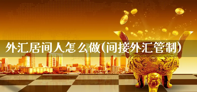 外汇居间人怎么做(间接外汇管制)_https://www.xgbbparty.com_外汇市场_第1张