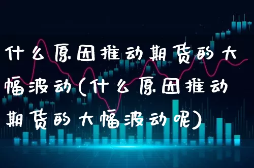 什么原因推动期货的大幅波动(什么原因推动期货的大幅波动呢)_https://www.xgbbparty.com_债券市场_第1张