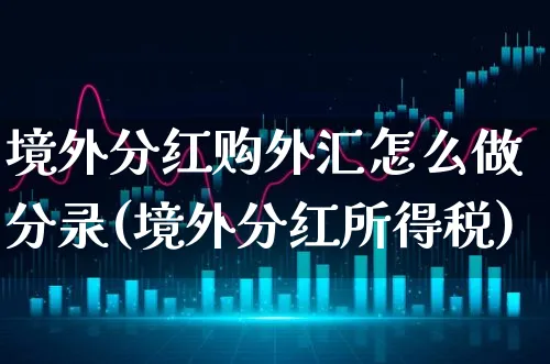 境外分红购外汇怎么做分录(境外分红所得税)_https://www.xgbbparty.com_外汇市场_第1张