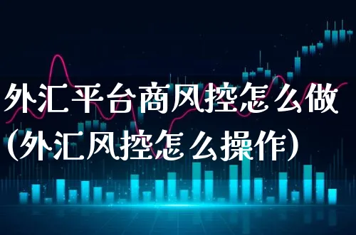 外汇平台商风控怎么做(外汇风控怎么操作)_https://www.xgbbparty.com_外汇市场_第1张