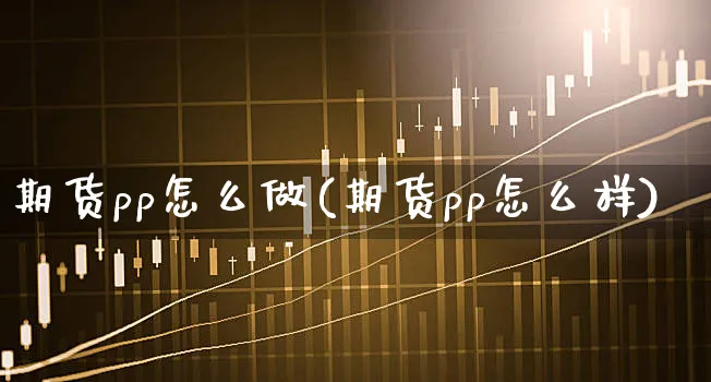 期货pp怎么做(期货pp怎么样)_https://www.xgbbparty.com_期货市场_第1张