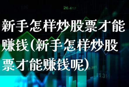 新手怎样炒股票才能赚钱(新手怎样炒股票才能赚钱呢)_https://www.xgbbparty.com_股市频道_第1张