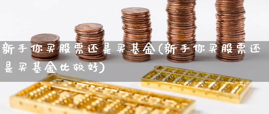 新手你买股票还是买基金(新手你买股票还是买基金比较好)_https://www.xgbbparty.com_基金市场_第1张