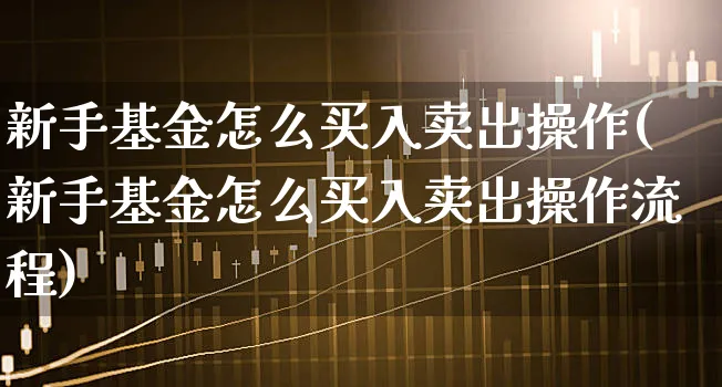 新手基金怎么买入卖出操作(新手基金怎么买入卖出操作流程)_https://www.xgbbparty.com_基金市场_第1张