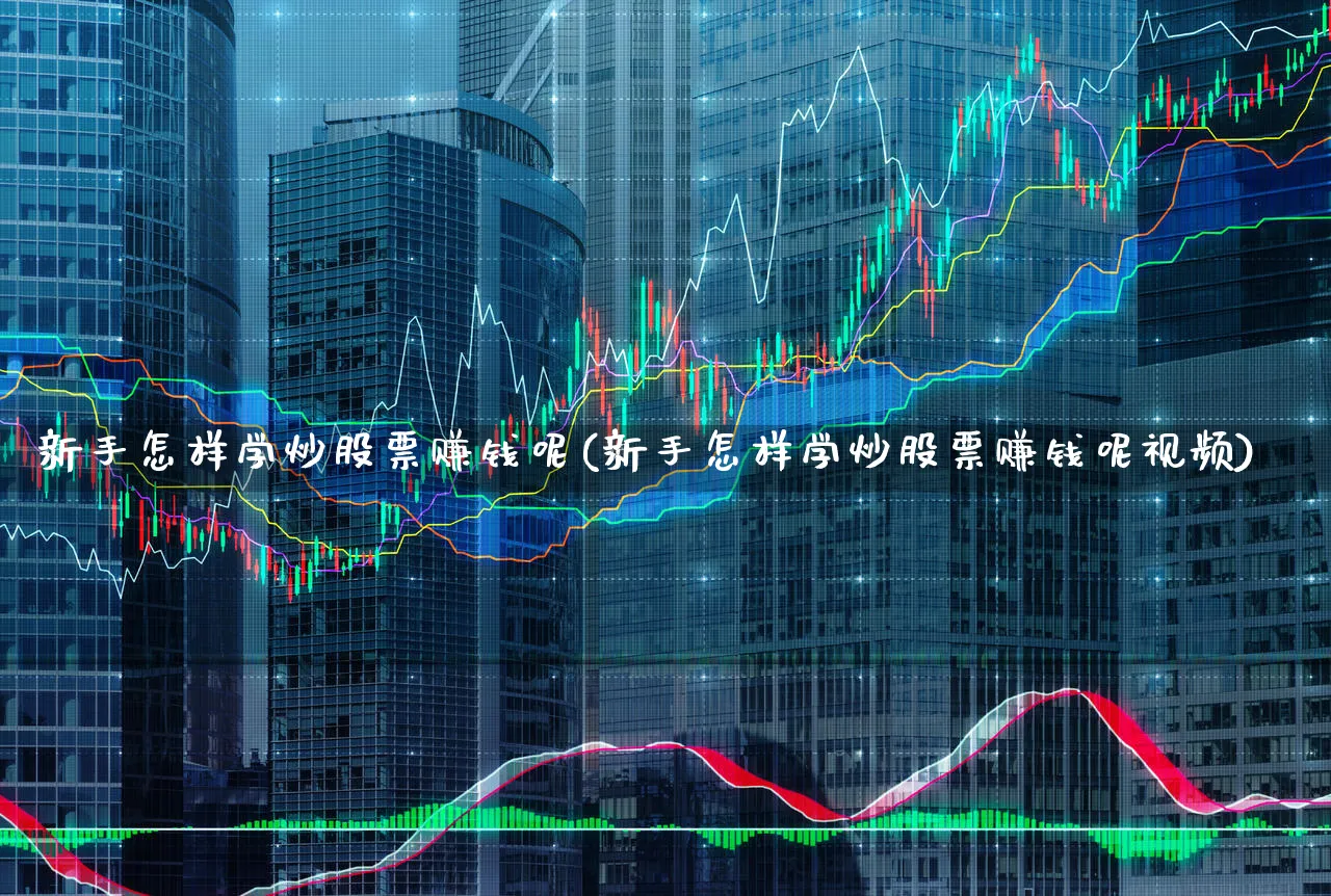 新手怎样学炒股票赚钱呢(新手怎样学炒股票赚钱呢视频)_https://www.xgbbparty.com_股市频道_第1张