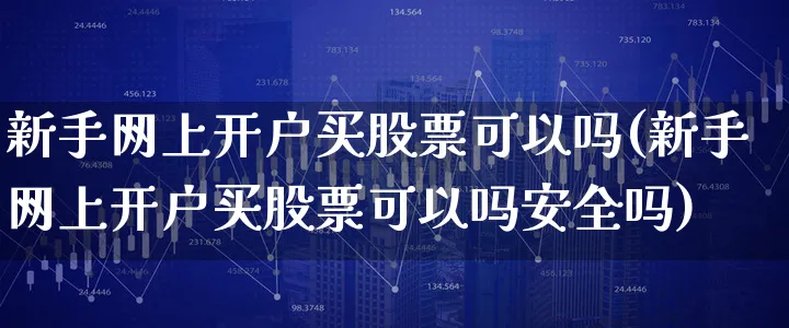 新手网上开户买股票可以吗(新手网上开户买股票可以吗安全吗)_https://www.xgbbparty.com_股市频道_第1张