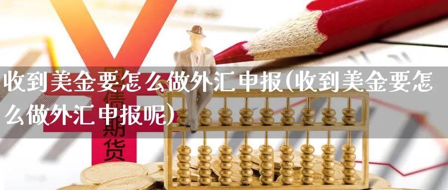 收到美金要怎么做外汇申报(收到美金要怎么做外汇申报呢)_https://www.xgbbparty.com_外汇市场_第1张