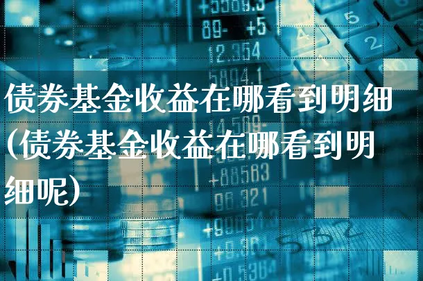 债券基金收益在哪看到明细(债券基金收益在哪看到明细呢)_https://www.xgbbparty.com_债券市场_第1张