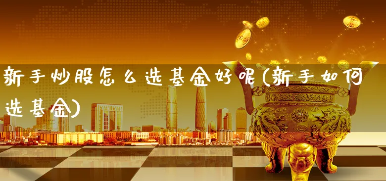 新手炒股怎么选基金好呢(新手如何选基金)_https://www.xgbbparty.com_基金市场_第1张