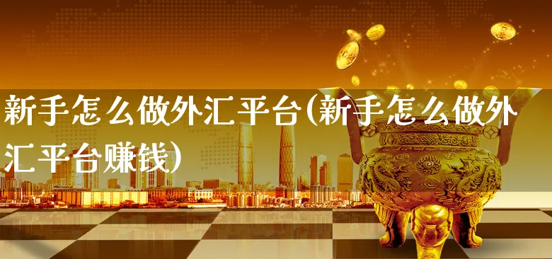 新手怎么做外汇平台(新手怎么做外汇平台赚钱)_https://www.xgbbparty.com_外汇市场_第1张