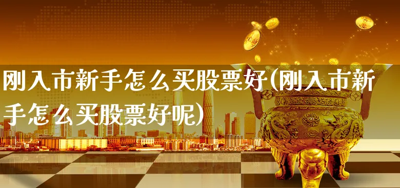 刚入市新手怎么买股票好(刚入市新手怎么买股票好呢)_https://www.xgbbparty.com_股市频道_第1张