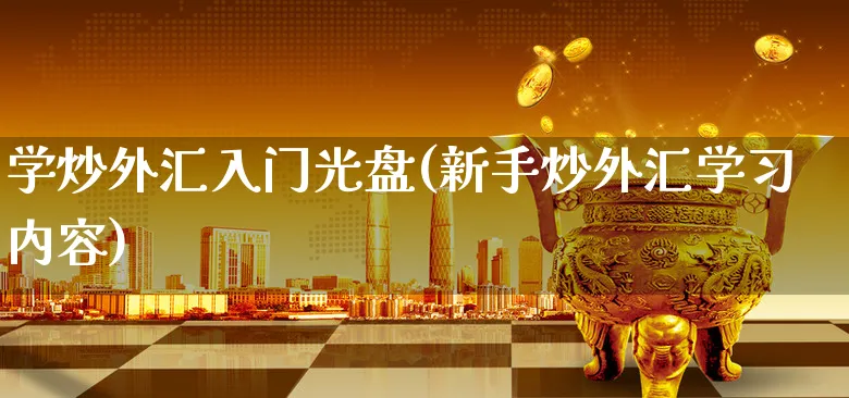 学炒外汇入门光盘(新手炒外汇学习内容)_https://www.xgbbparty.com_外汇市场_第1张