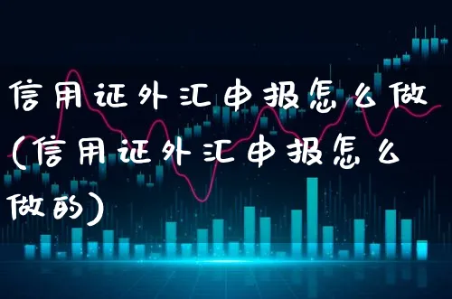 信用证外汇申报怎么做(信用证外汇申报怎么做的)_https://www.xgbbparty.com_外汇市场_第1张