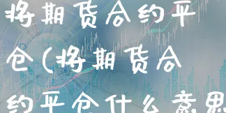 将期货合约平仓(将期货合约平仓什么意思)_https://www.xgbbparty.com_股市频道_第1张