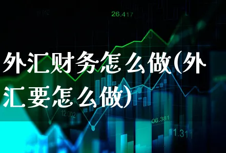 外汇财务怎么做(外汇要怎么做)_https://www.xgbbparty.com_外汇市场_第1张