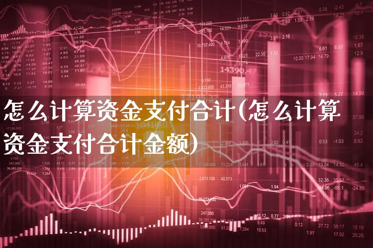 怎么计算资金支付合计(怎么计算资金支付合计金额)_https://www.xgbbparty.com_基金市场_第1张