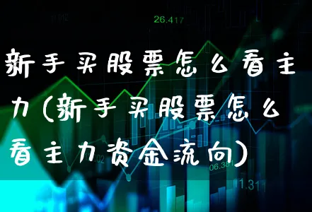 新手买股票怎么看主力(新手买股票怎么看主力资金流向)_https://www.xgbbparty.com_股市频道_第1张