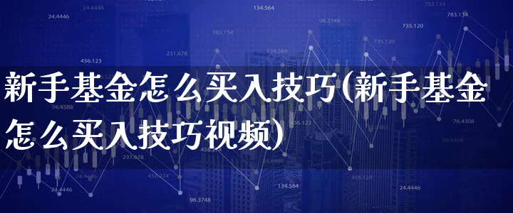 新手基金怎么买入技巧(新手基金怎么买入技巧视频)_https://www.xgbbparty.com_基金市场_第1张