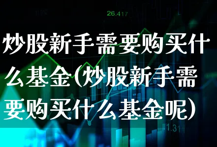 炒股新手需要购买什么基金(炒股新手需要购买什么基金呢)_https://www.xgbbparty.com_基金市场_第1张