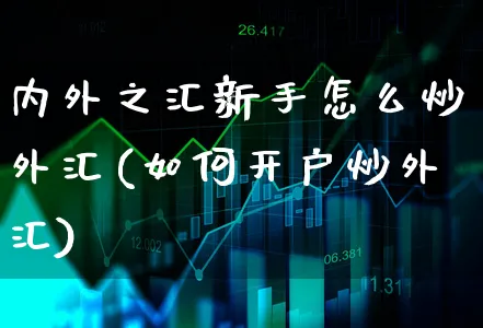 内外之汇新手怎么炒外汇(如何开户炒外汇)_https://www.xgbbparty.com_外汇市场_第1张