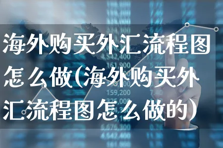 海外购买外汇流程图怎么做(海外购买外汇流程图怎么做的)_https://www.xgbbparty.com_外汇市场_第1张