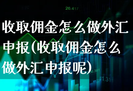 收取佣金怎么做外汇申报(收取佣金怎么做外汇申报呢)_https://www.xgbbparty.com_外汇市场_第1张