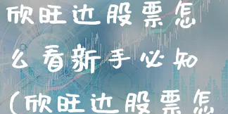 欣旺达股票怎么看新手必知(欣旺达股票怎么看新手必知的)_https://www.xgbbparty.com_股市频道_第1张