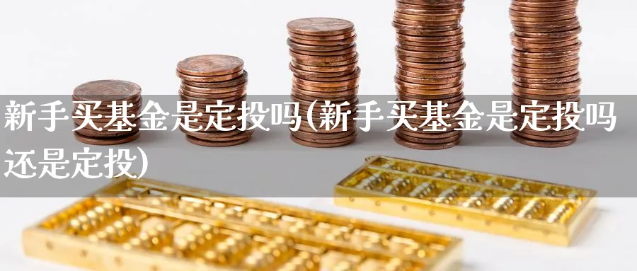 新手买基金是定投吗(新手买基金是定投吗还是定投)_https://www.xgbbparty.com_基金市场_第1张