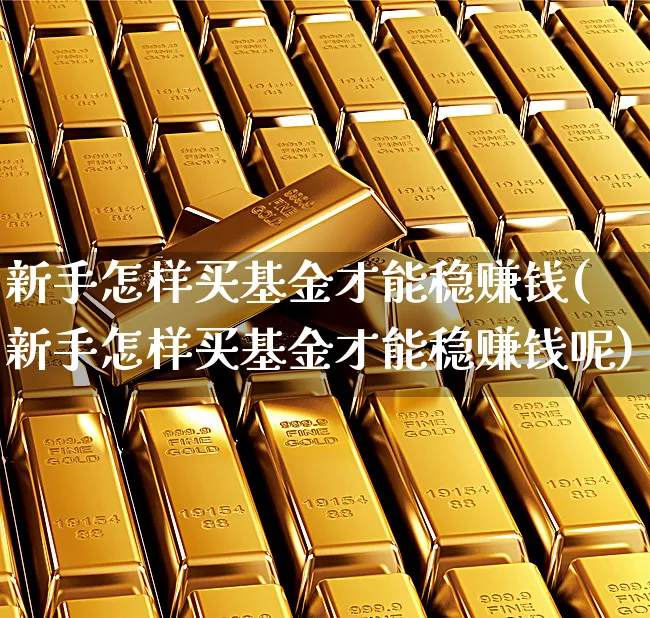 新手怎样买基金才能稳赚钱(新手怎样买基金才能稳赚钱呢)_https://www.xgbbparty.com_基金市场_第1张