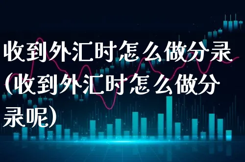 收到外汇时怎么做分录(收到外汇时怎么做分录呢)_https://www.xgbbparty.com_外汇市场_第1张