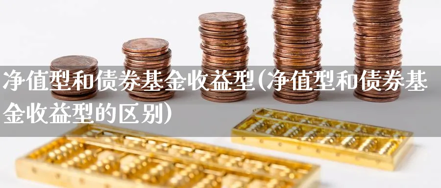 净值型和债券基金收益型(净值型和债券基金收益型的区别)_https://www.xgbbparty.com_债券市场_第1张