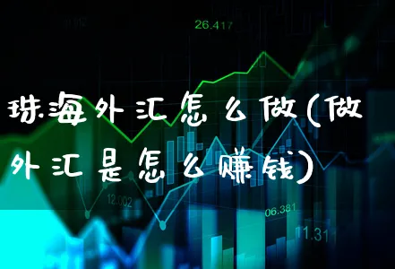 珠海外汇怎么做(做外汇是怎么赚钱)_https://www.xgbbparty.com_外汇市场_第1张