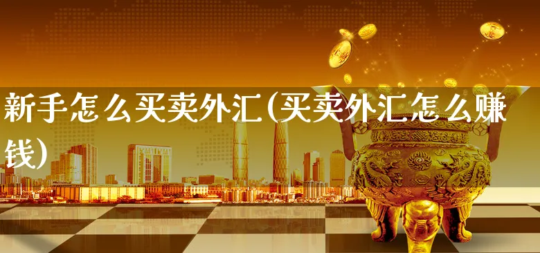 新手怎么买卖外汇(买卖外汇怎么赚钱)_https://www.xgbbparty.com_外汇市场_第1张