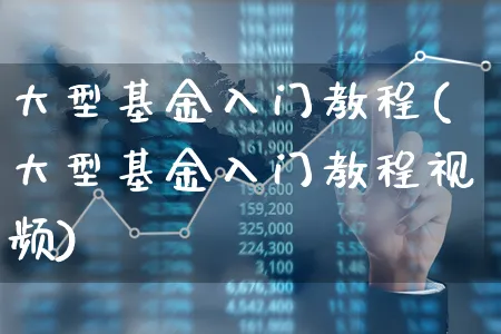 大型基金入门教程(大型基金入门教程视频)_https://www.xgbbparty.com_基金市场_第1张