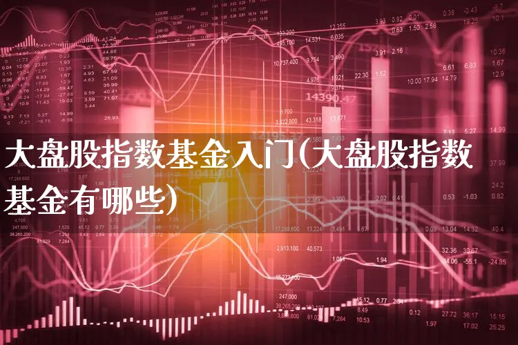 大盘股指数基金入门(大盘股指数基金有哪些)_https://www.xgbbparty.com_基金市场_第1张