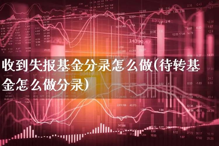 收到失报基金分录怎么做(待转基金怎么做分录)_https://www.xgbbparty.com_基金市场_第1张